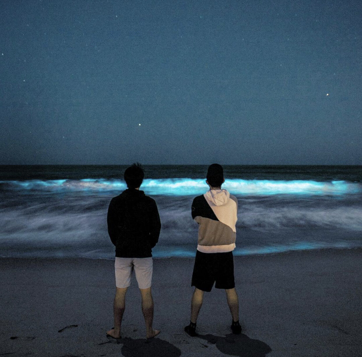Don’t Miss It: Neon Blue Waves Off California Coast