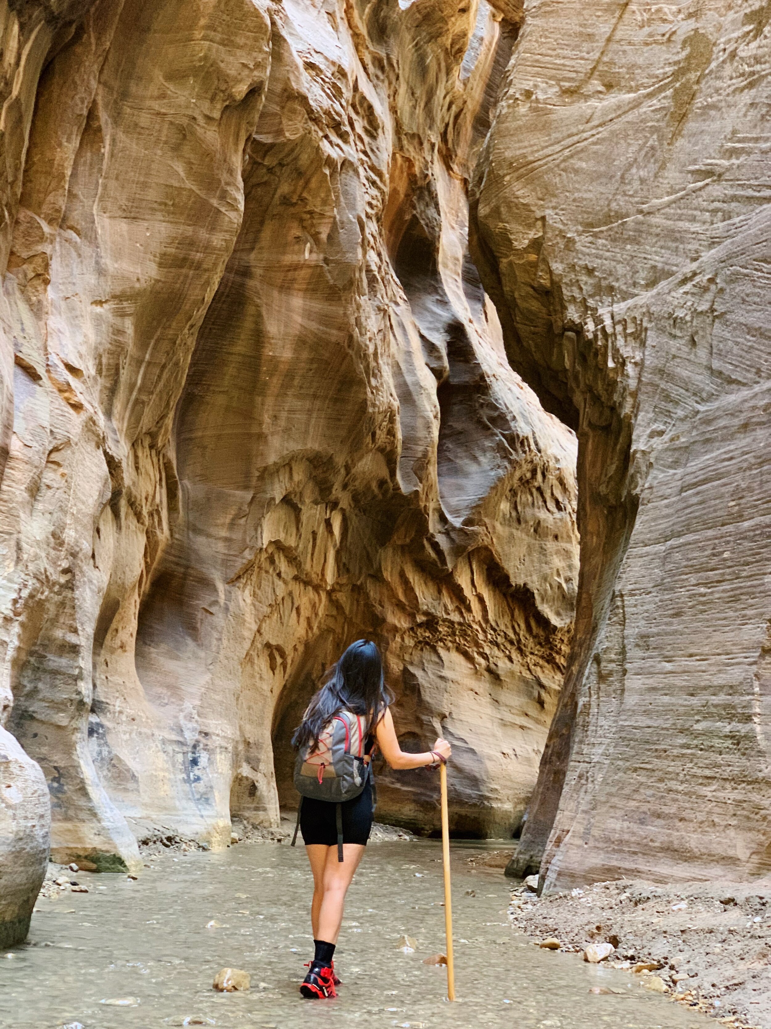 Entrance at fork in the trail