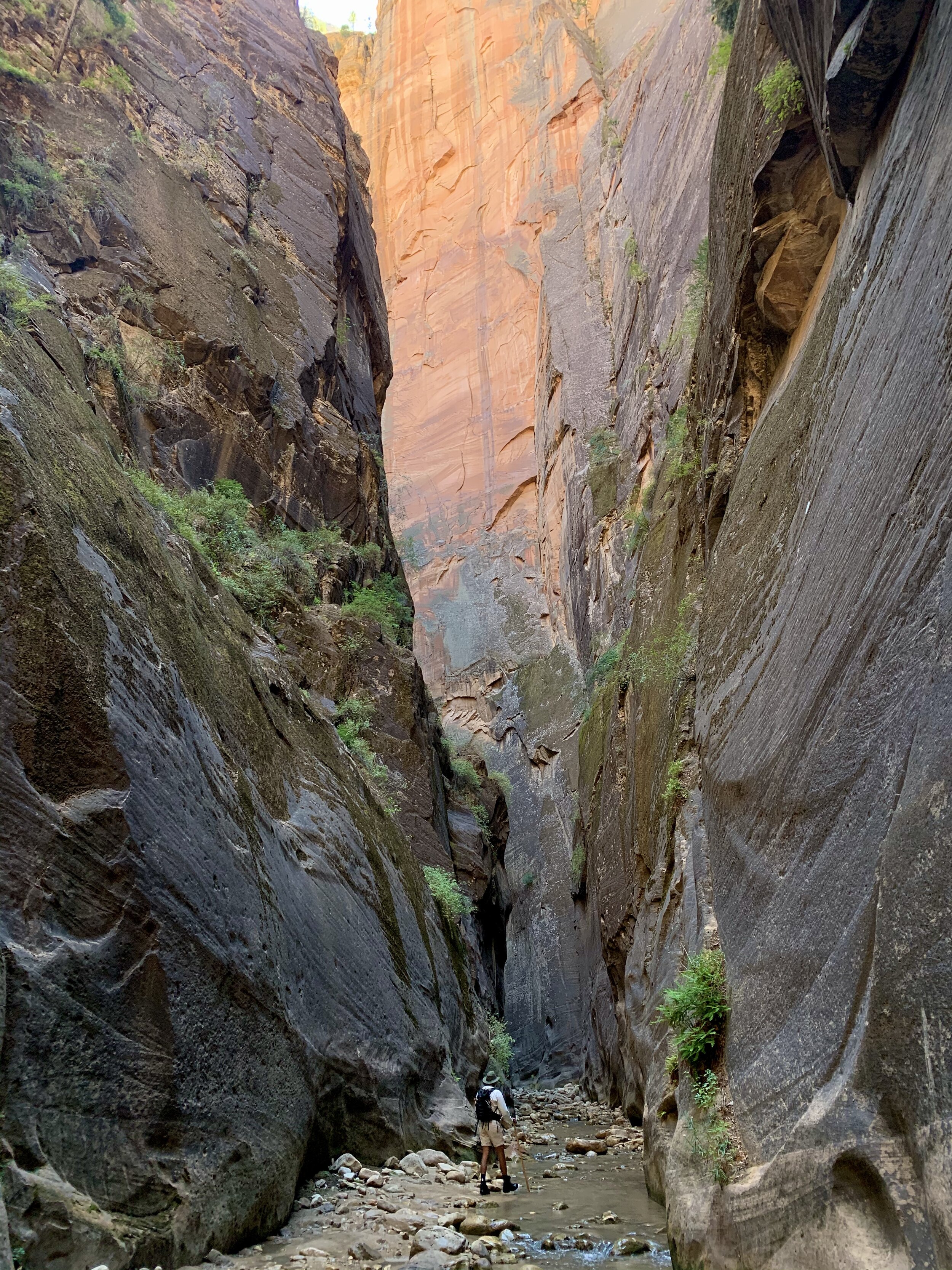 Views of the Virgin River along Riverside Wal