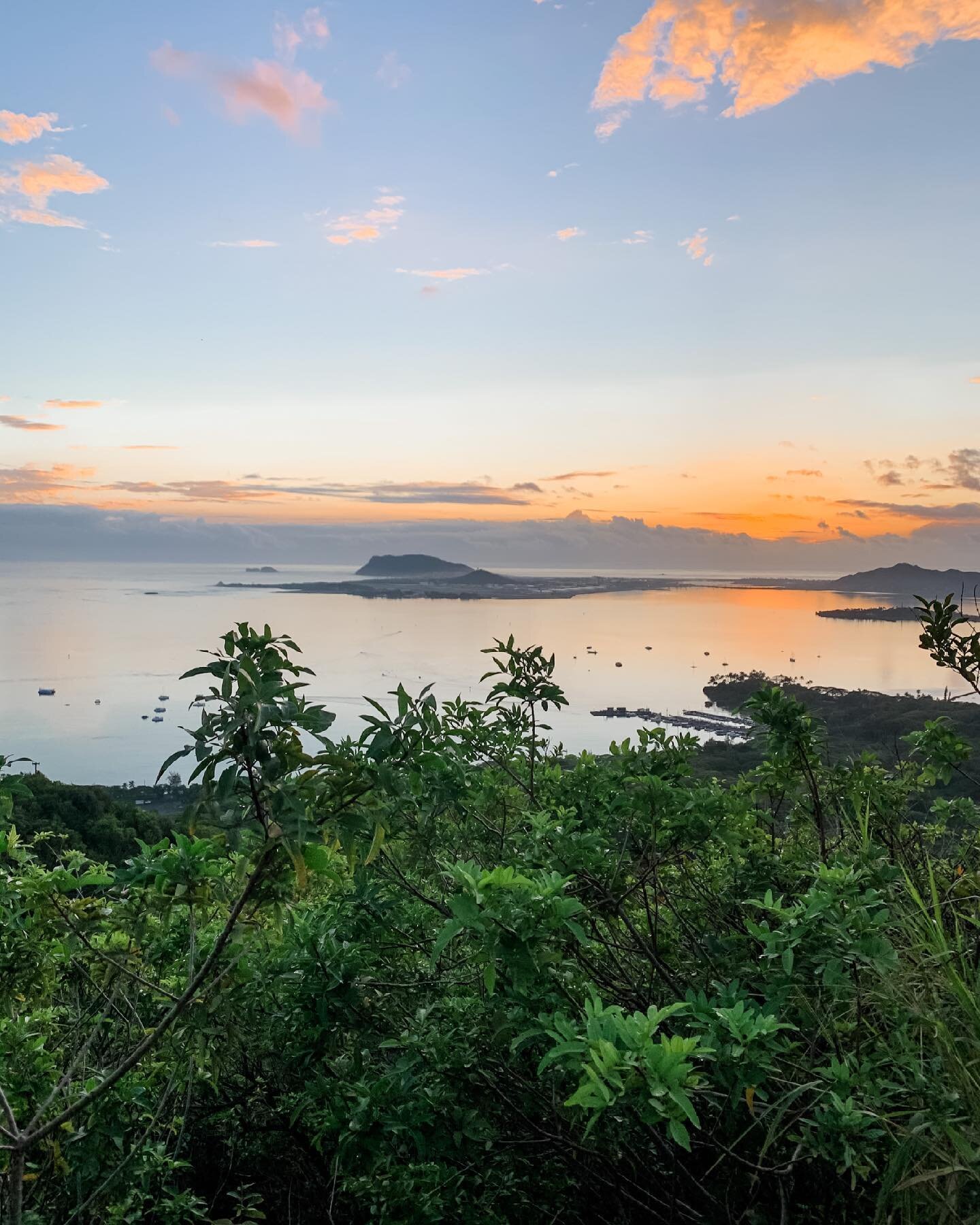 Would you wake up at 4:30 for a sunrise hike with this view? 🙋🏻&zwj;♀️ Pu&rsquo;u Ma&rsquo;elu&rsquo;eli Trail, also known as Digging Hill, is a 2.3 mile hike with this view at the end. The trail can be pretty muddy and slippery if it&rsquo;s recen