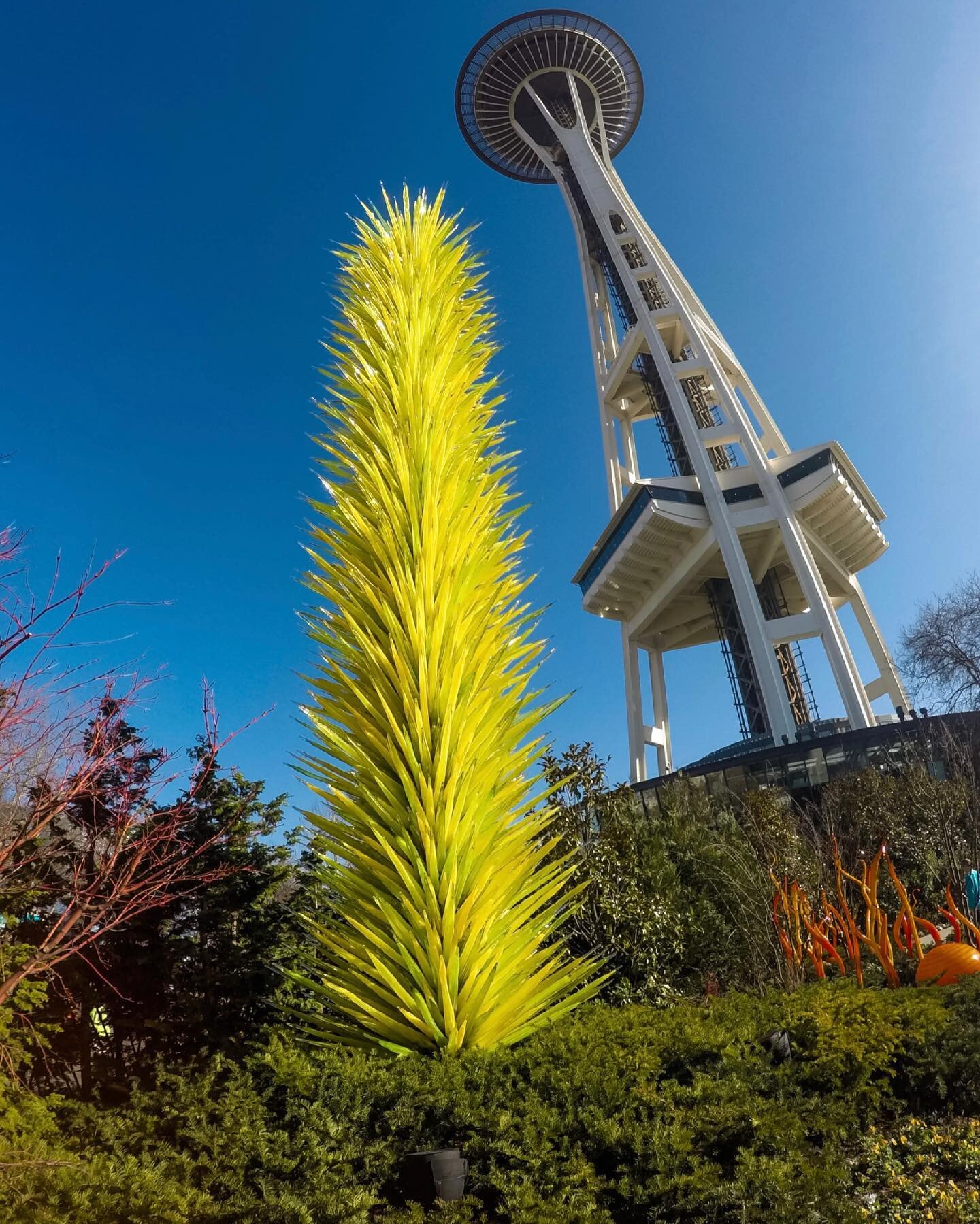 Views of the Space Needle at Chihuly Glass and Garden in Seattle 😍
#seattle #chihuly #washington #artexhibit #chihulyglass